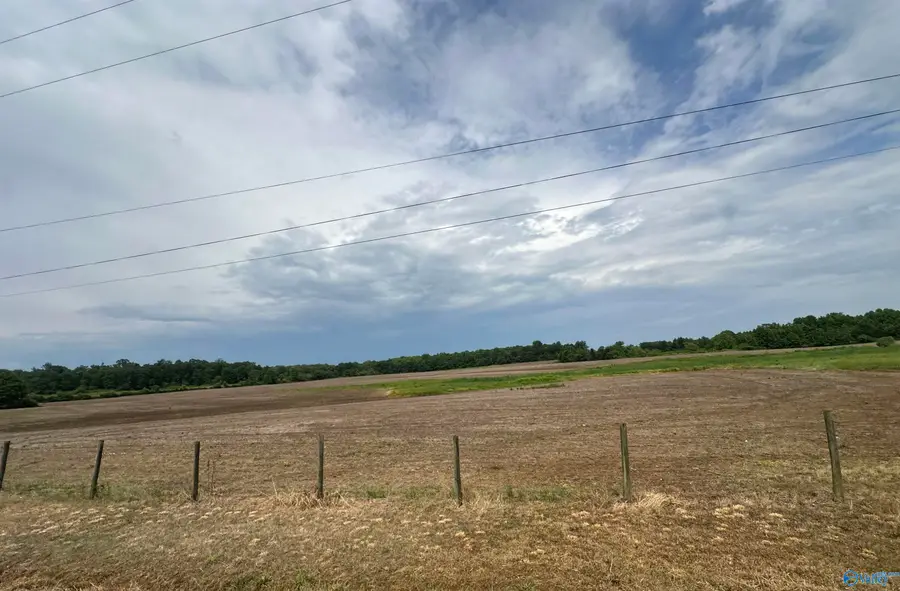30 ACRES County Road 271, Fort Payne, AL 35967 - #2
