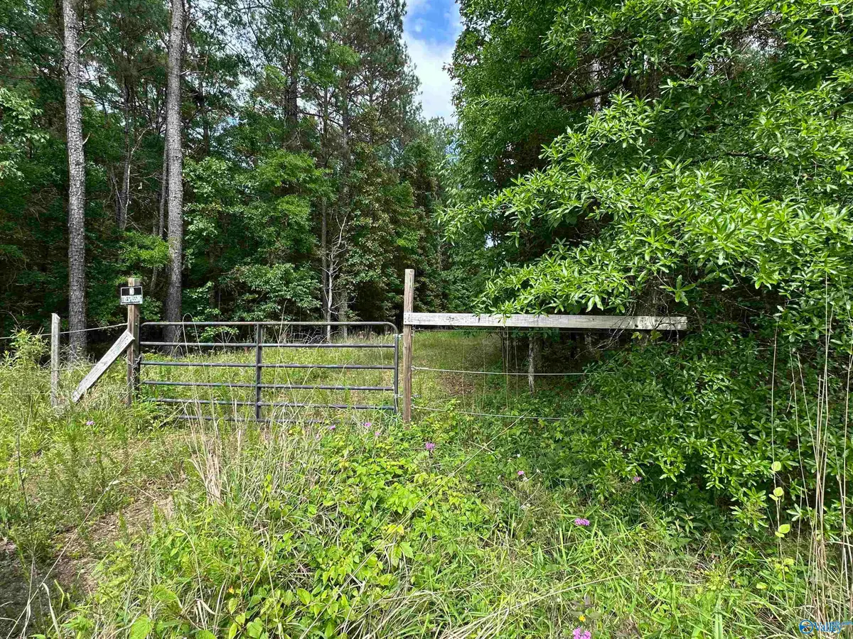 243 Friendship Road, Rainbow City, AL 35906 - #1