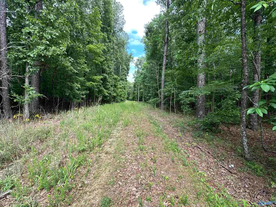 243 Friendship Road, Rainbow City, AL 35906 - #2