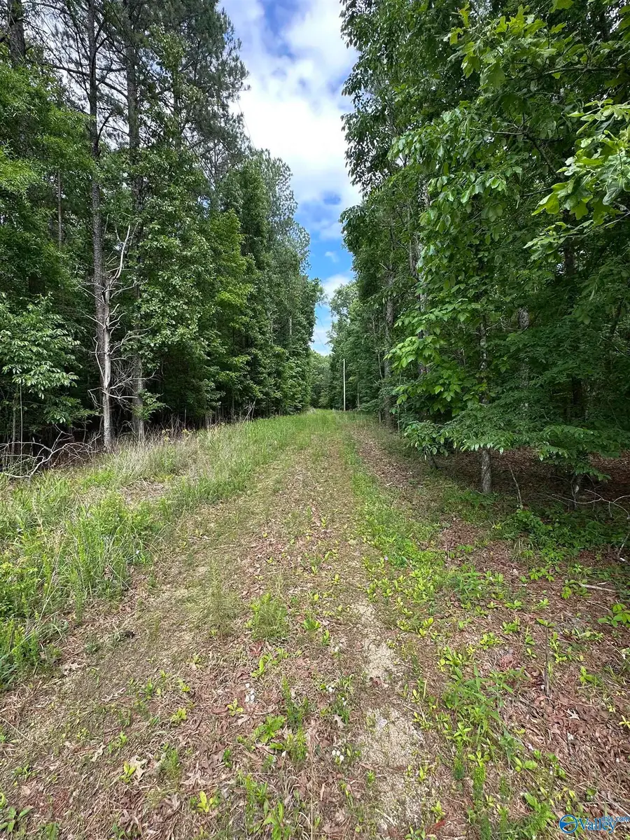 243 Friendship Road, Rainbow City, AL 35906 - #3