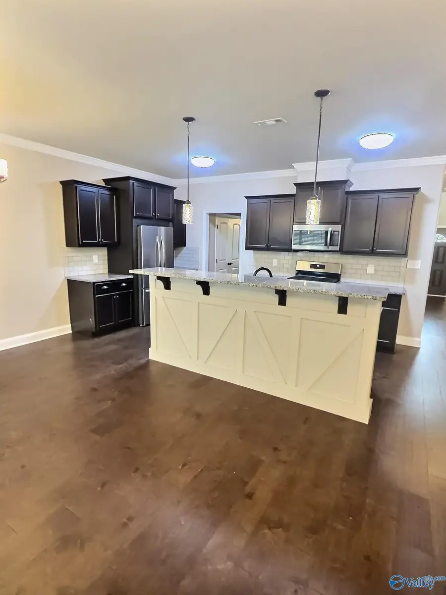 104 Ivy Vine Drive, Toney, AL 35773 - #3