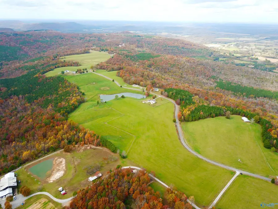 17 Acres Latham, Eva, AL 35621 - #3