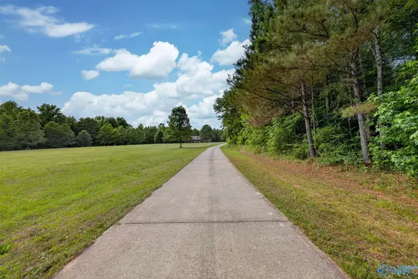 725 County Road 195, Danville, AL 35619