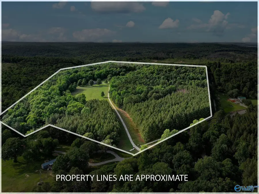725 County Road 195, Danville, AL 35619 - #3
