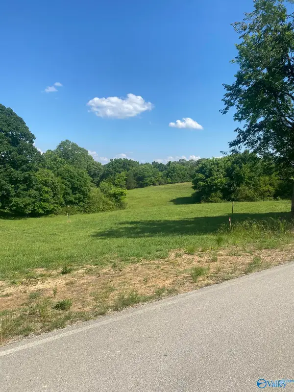 19.27 Acres County Road 656, Anderson, AL 35610