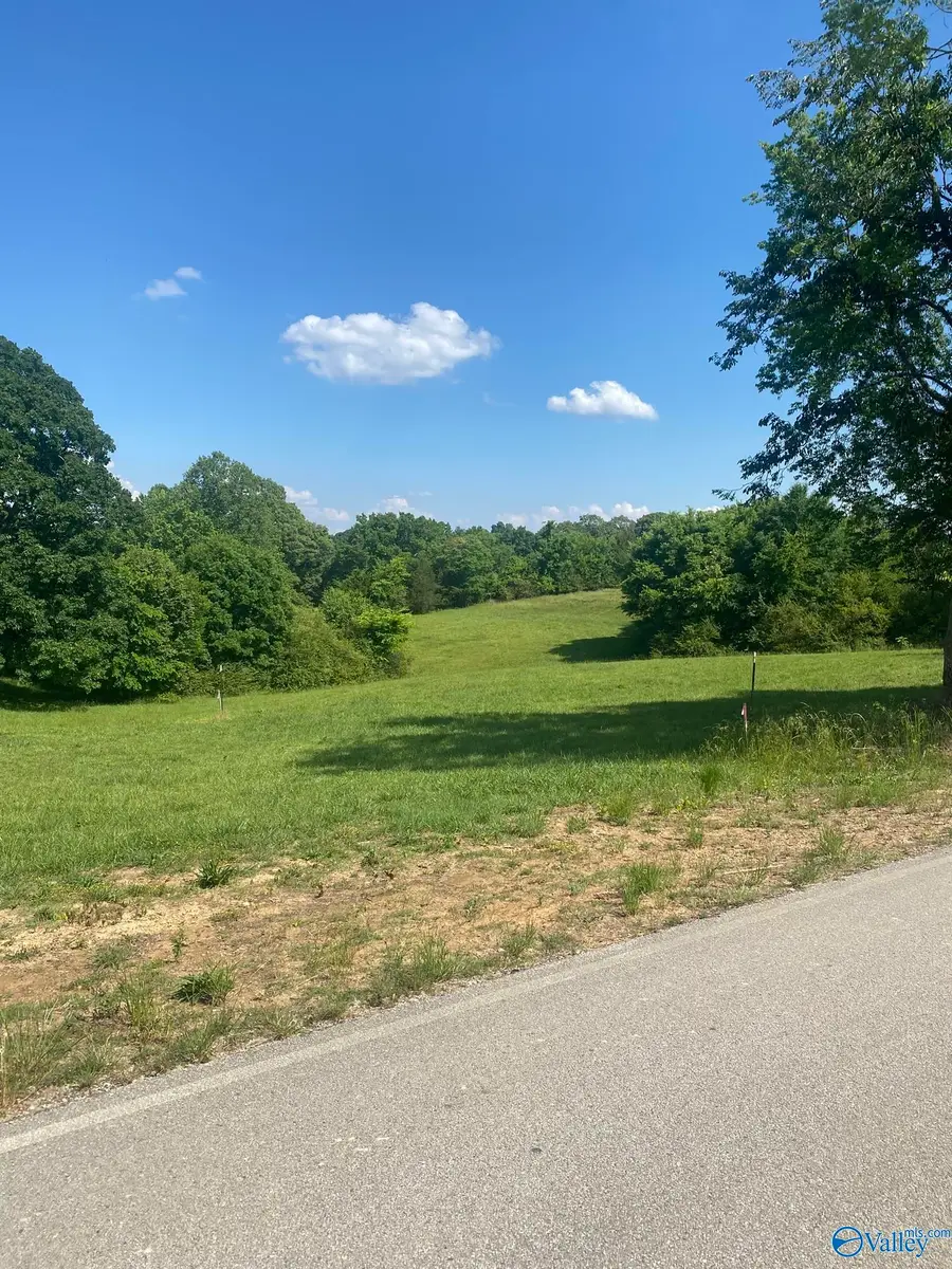 19.27 Acres County Road 656, Anderson, AL 35610 - #2