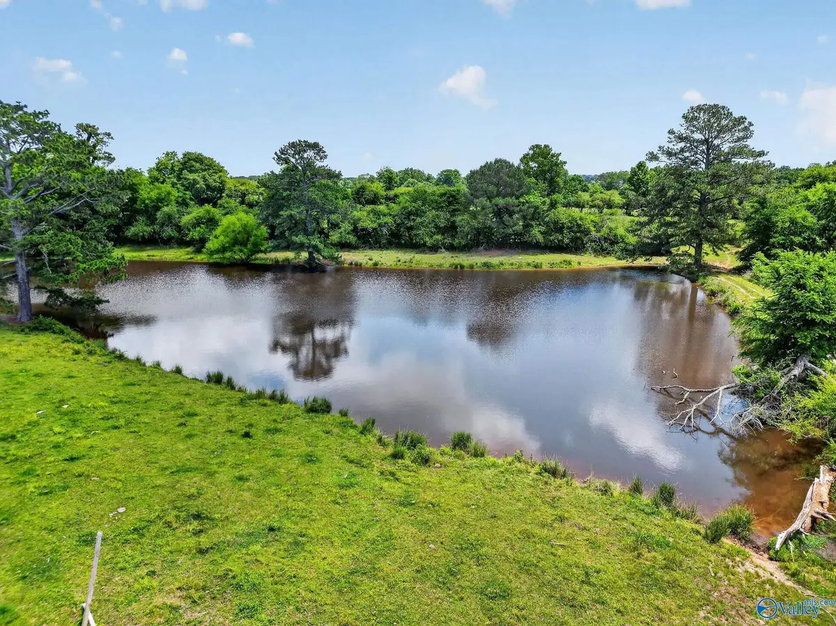 19 Acres County Highway 35, Horton, AL 35980 - #1