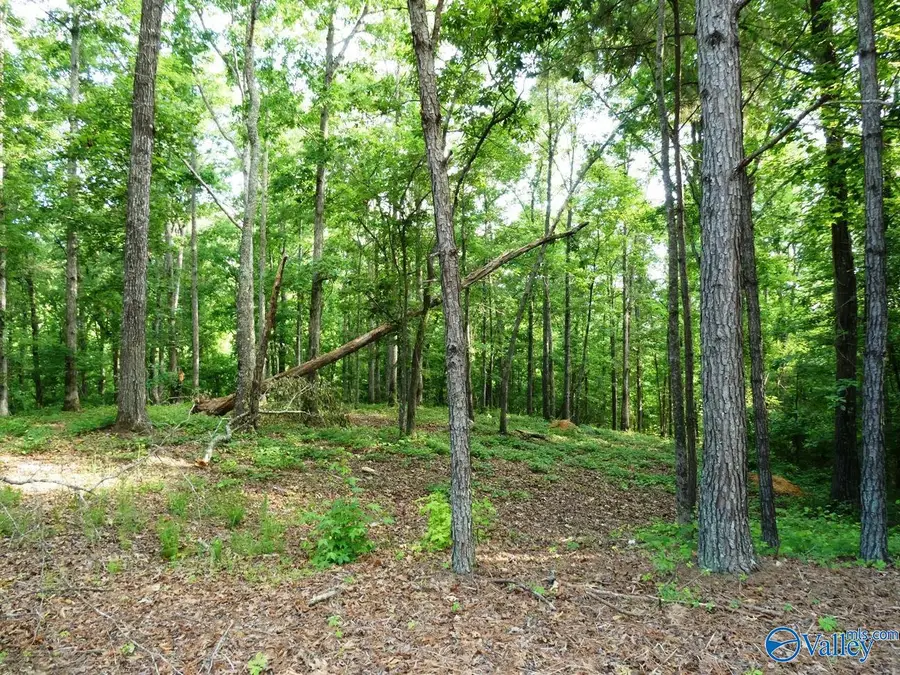 Lot 77 Broken Arrow, Jasper, AL 35504 - #2