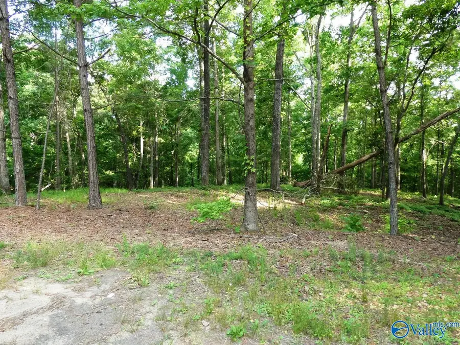 Lot 77 Broken Arrow, Jasper, AL 35504 - #3