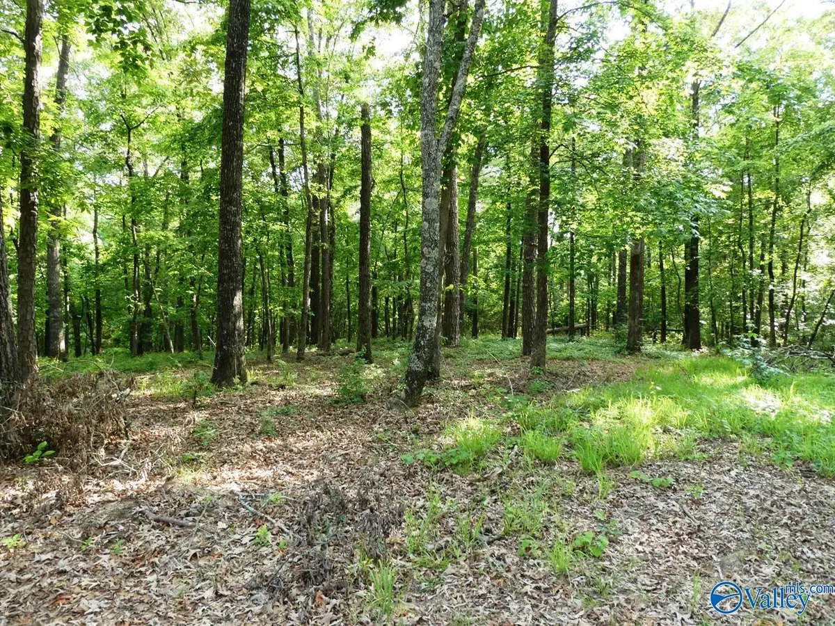 lOT 50 Harbor Loop, Jasper, AL 35504 - #1