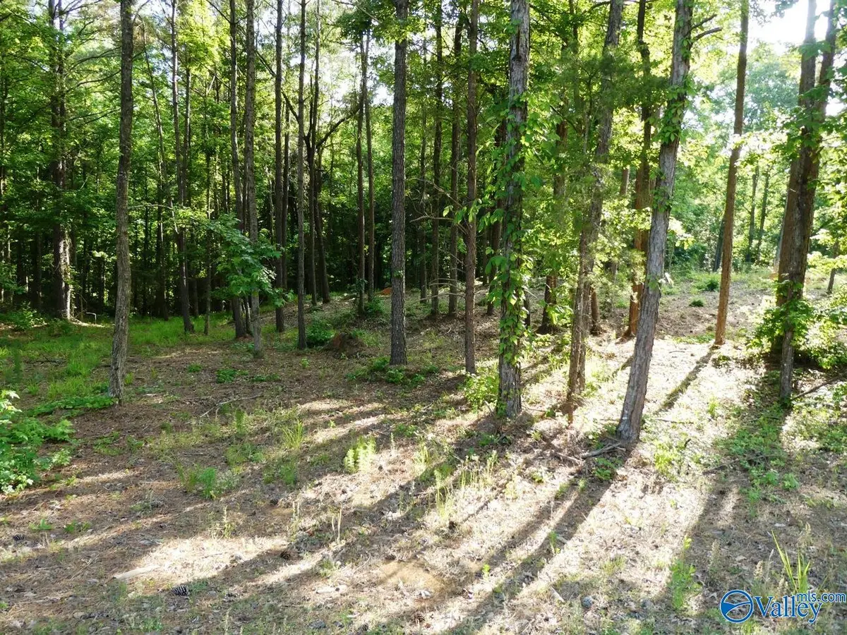 Lot 75 Harbor Lights Trail, Jasper, AL 35504 - #1