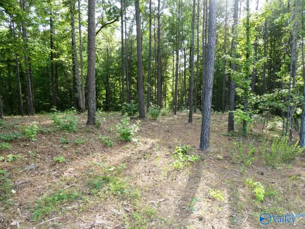 Lot 74 Harbor Lights Trail, Jasper, AL 35504