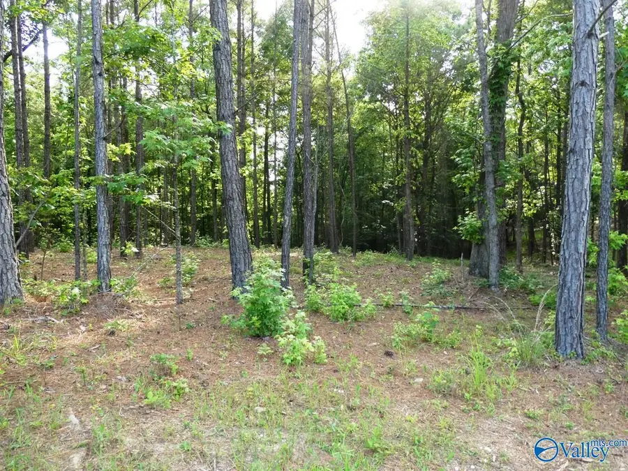 Lot 74 Harbor Lights Trail, Jasper, AL 35504 - #2