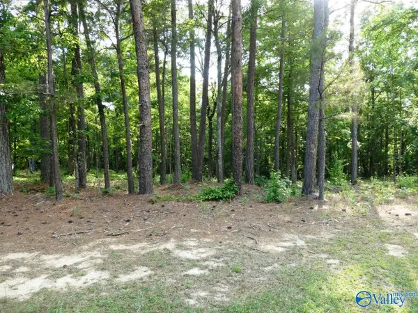 Lot 73 Harbor Lights Trail, Jasper, AL 35504
