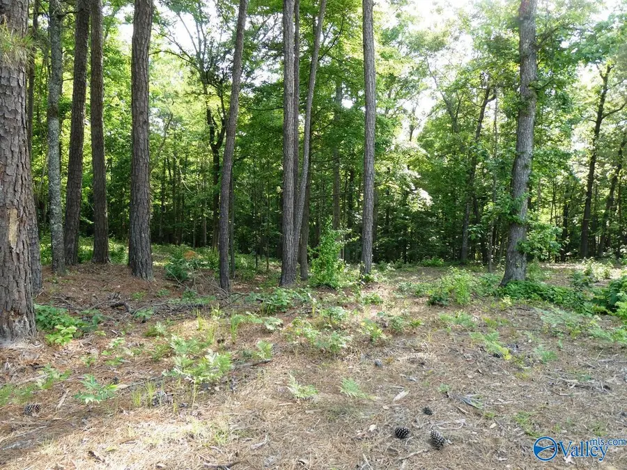 Lot 73 Harbor Lights Trail, Jasper, AL 35504 - #2