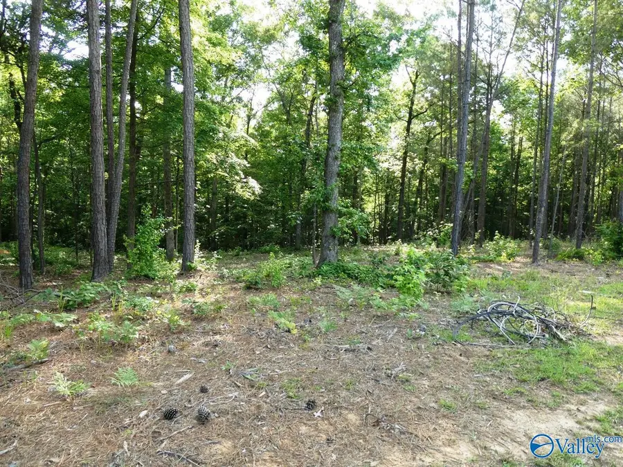 Lot 73 Harbor Lights Trail, Jasper, AL 35504 - #3