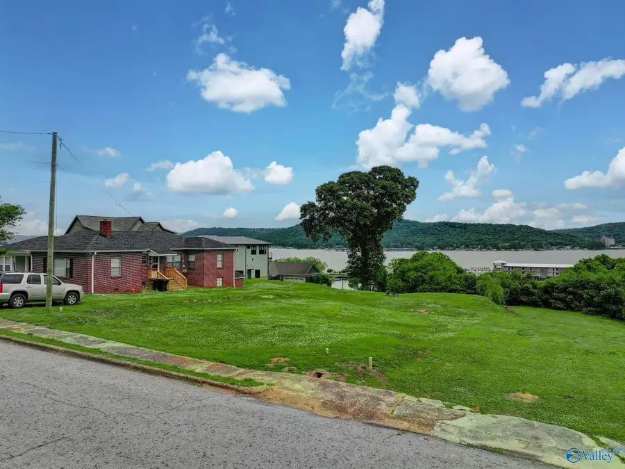 245 Hill Avenue, Guntersville, AL 35976 - #2