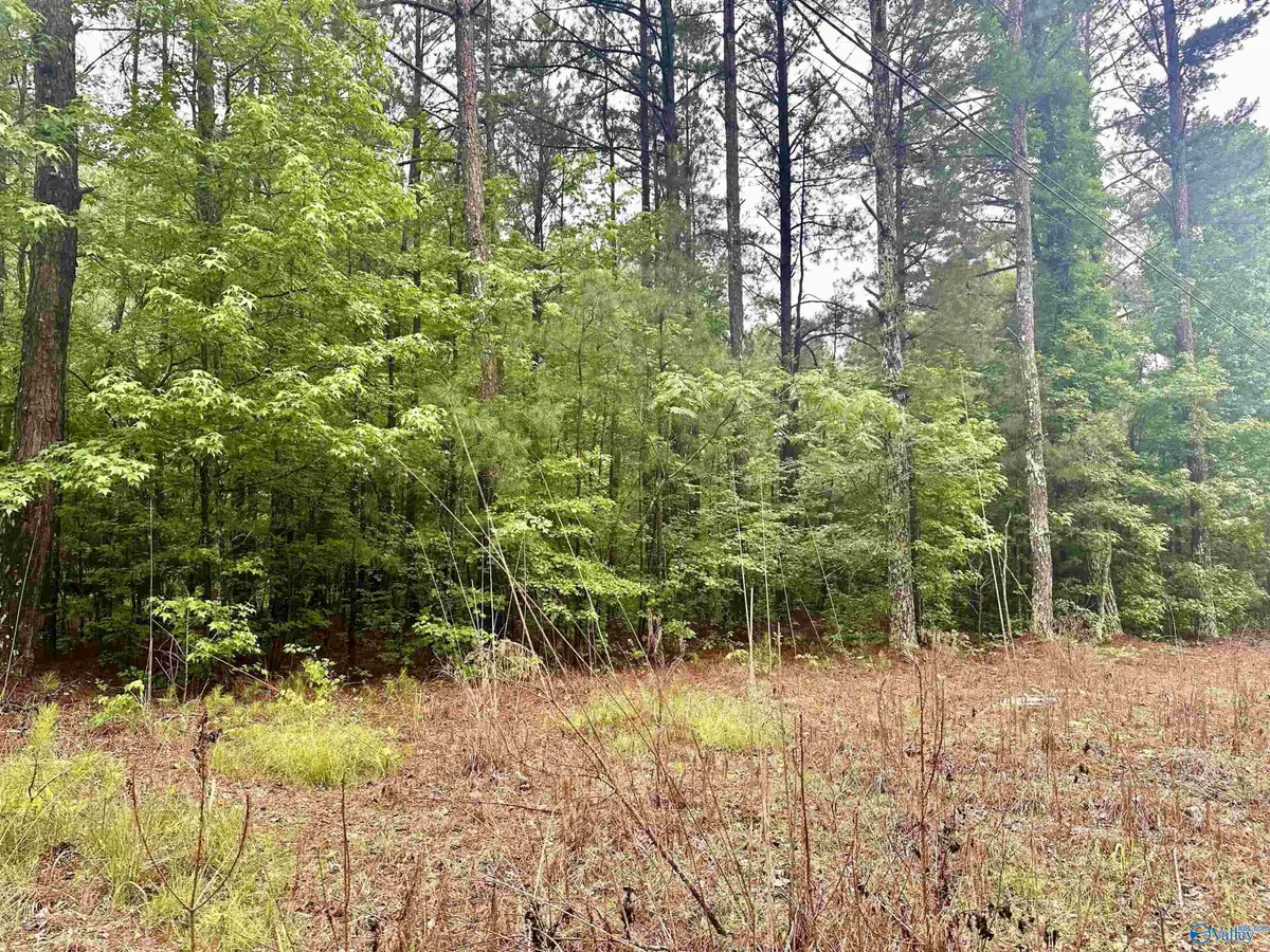 1508 Rabbittown Road, Glencoe, AL 35905 - #1