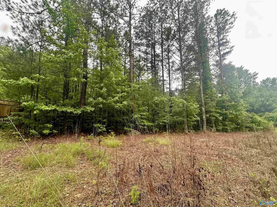 1508 Rabbittown Road, Glencoe, AL 35905 - #2
