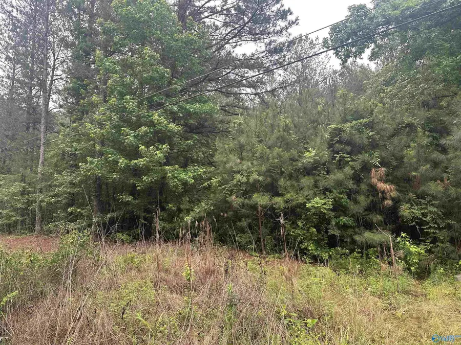 1508 Rabbittown Road, Glencoe, AL 35905 - #3