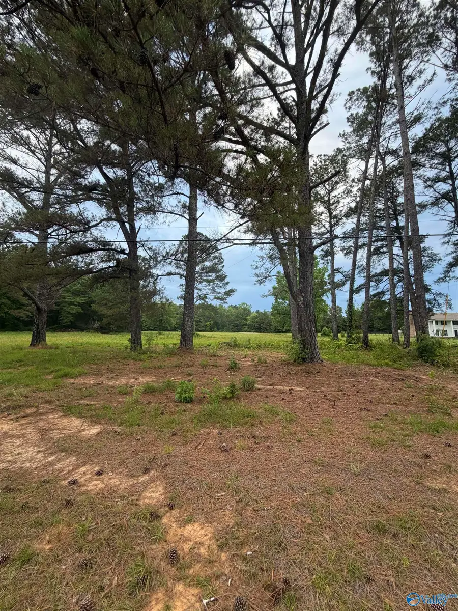 520 Alabama Highway 13 S, Berry, AL 35546 - #2