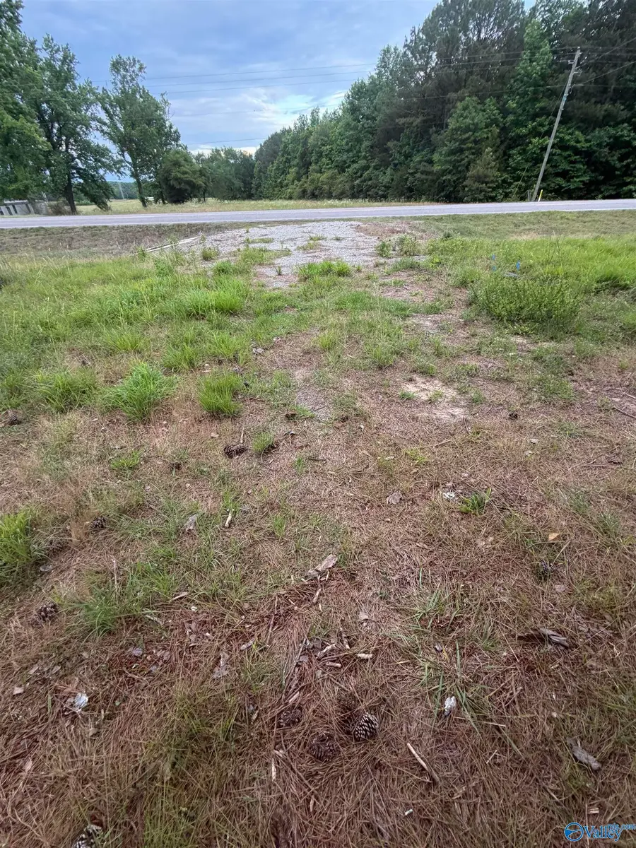 520 Alabama Highway 13 S, Berry, AL 35546 - #3