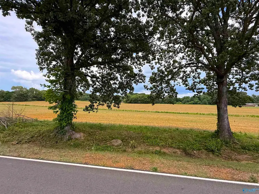 14.3 Acres Tillman Mill Road, Athens, AL 35614 - #2