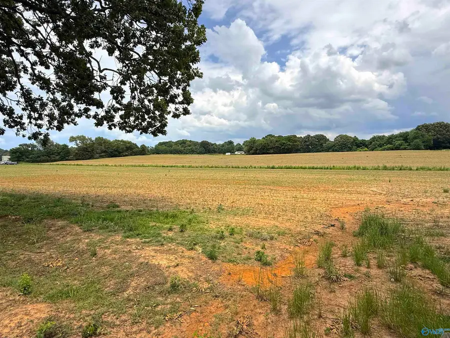 14.3 Acres Tillman Mill Road, Athens, AL 35614 - #3