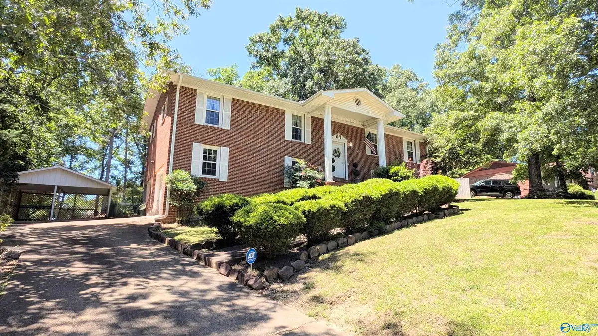 205 Jo Cyn Drive, Glencoe, AL 35905 - #1