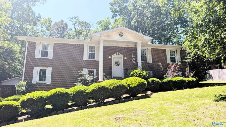 205 Jo Cyn Drive, Glencoe, AL 35905 - #2