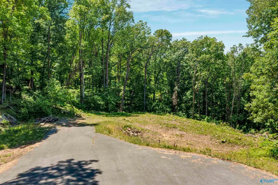 2.61 Wilks Drive, Fort Payne, AL 35967 - #2