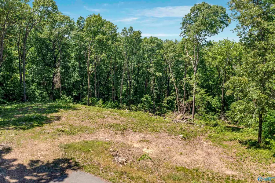 2.61 Wilks Drive, Fort Payne, AL 35967 - #3
