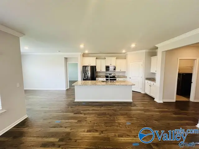 107 Caden Court, Madison, AL 35756 - #3