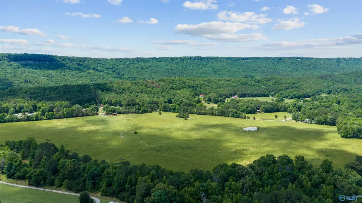 110 ACRES County Road 15, Cedar Bluff Gaylesville, AL 35972 - #1