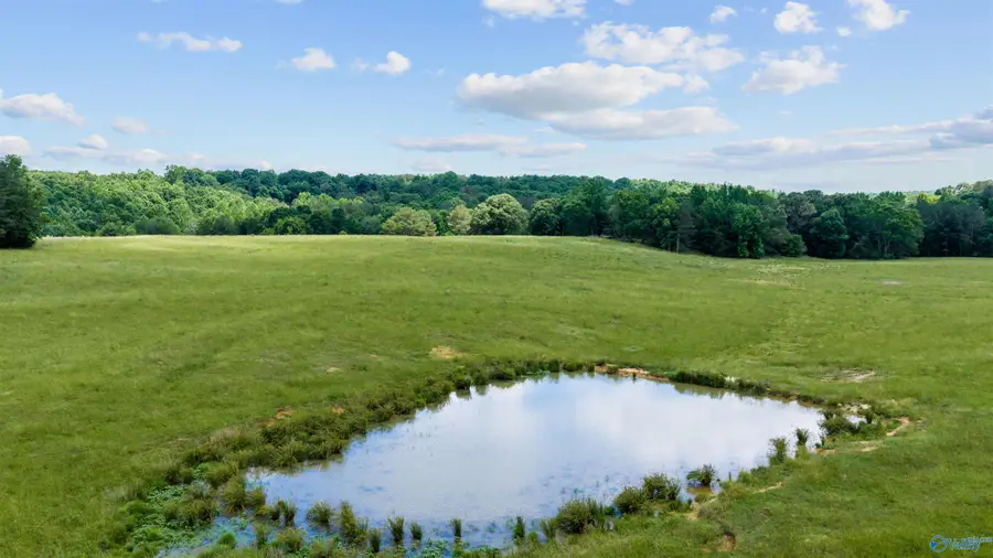 110 ACRES County Road 15, Cedar Bluff Gaylesville, AL 35972 - #3