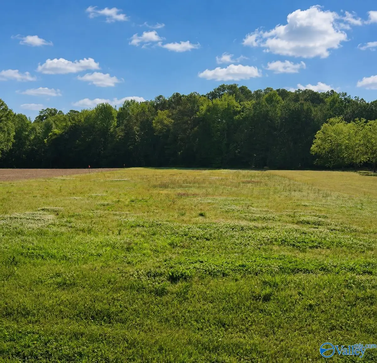 11650 Burgreen Road, Madison, AL 35756 - #1