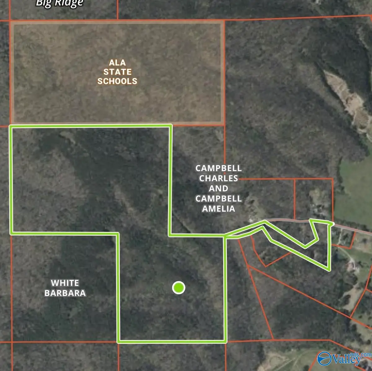 1965 Alabama Highway 11, Collinsville, AL 35961 - #1