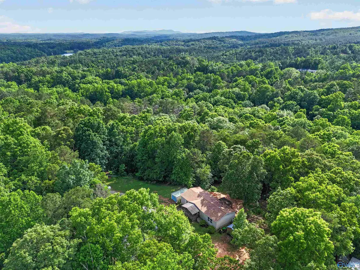 177 County Road 533, Heflin, AL 36264 - #1