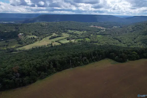 9.5 AC County Road 75, Flat Rock, AL 35966