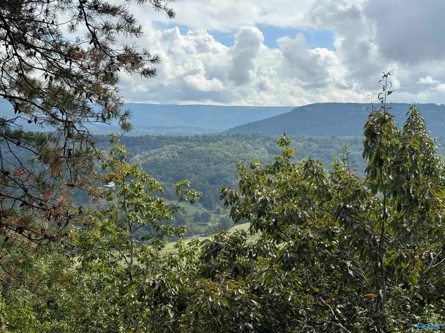 9.5 AC County Road 75, Flat Rock, AL 35966 - #2