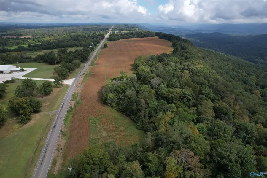 9.5 AC County Road 75, Flat Rock, AL 35966 - #3