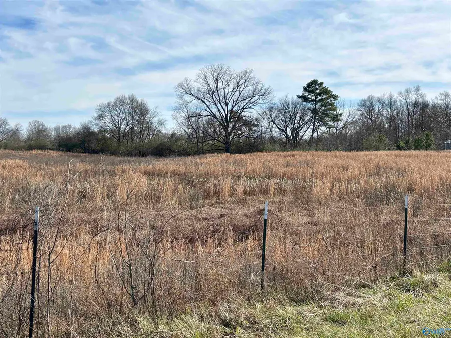 1.5 ac Lot 1 Strange Road, Horton, AL 35980 - #2