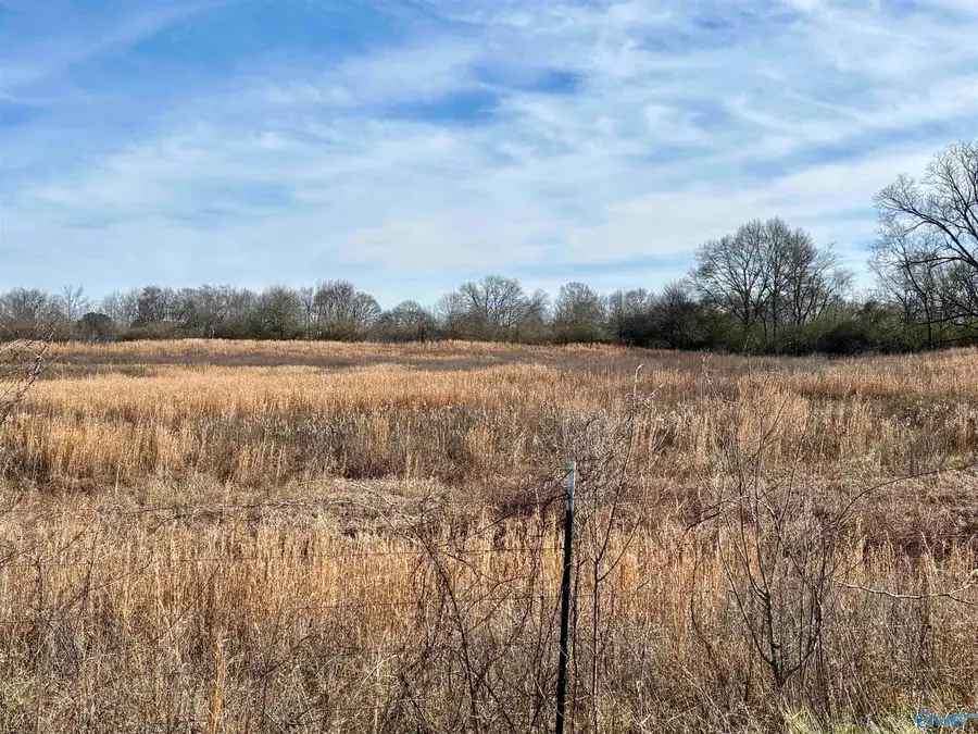 1.5 ac Lot 1 Strange Road, Horton, AL 35980 - #3