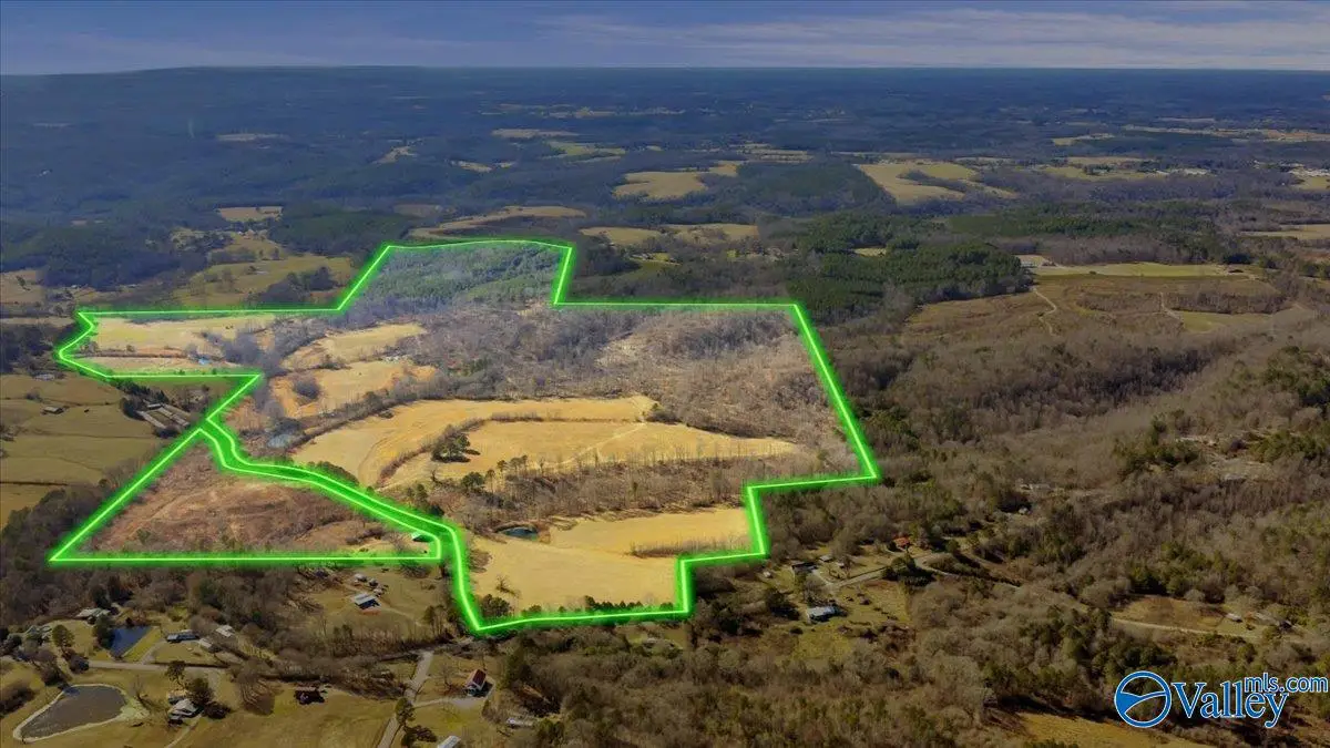 95 County Road 970, Logan, AL 35098 - #1