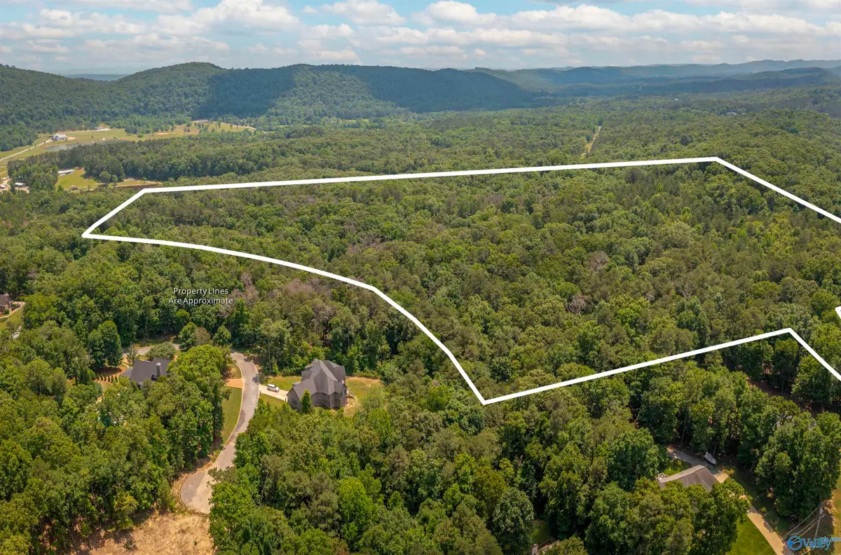 23 acres Riverview Lane, Gadsden, AL 35905 - #1
