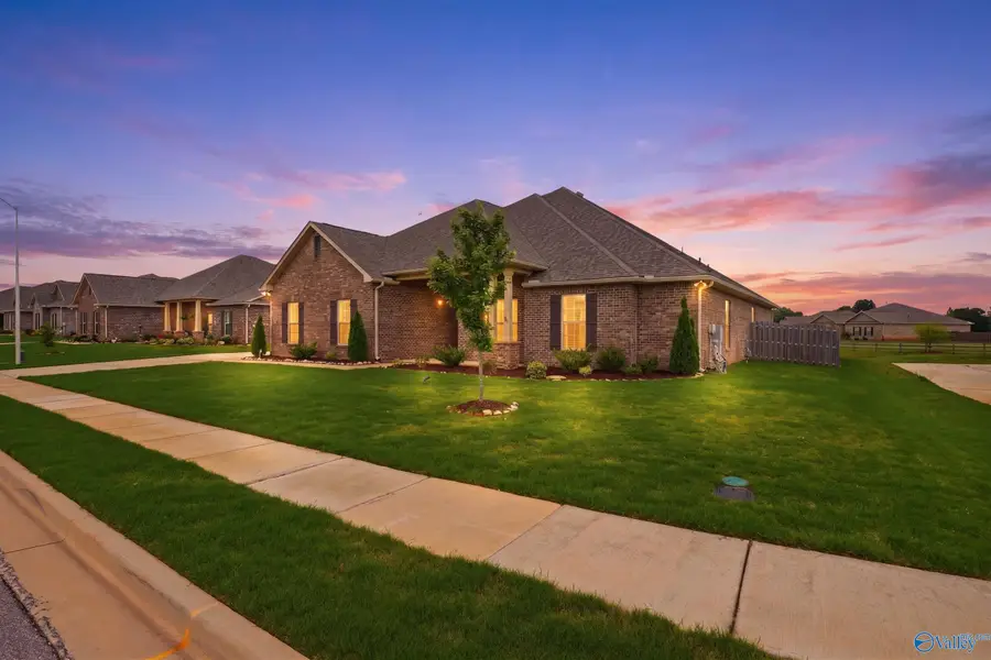 216 Nellie Faye Lane, Meridianville, AL 35759 - #3