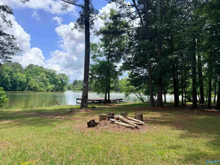Tract 5 C County Road 941, Cedar Bluff, AL 35959 - #3