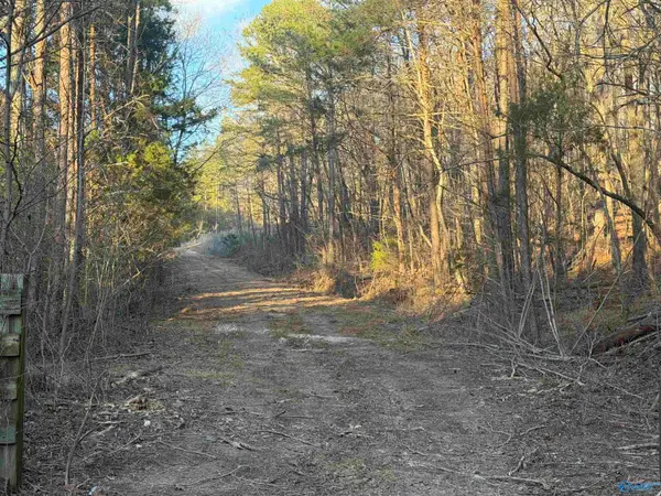 47.4 Tate Road Nw, Fort Payne, AL 35967