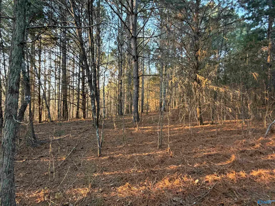 47.4 Tate Road Nw, Fort Payne, AL 35967 - #3