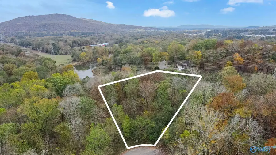 4623 Legacy Preserve Way, Brownsboro, AL 35741 - #2